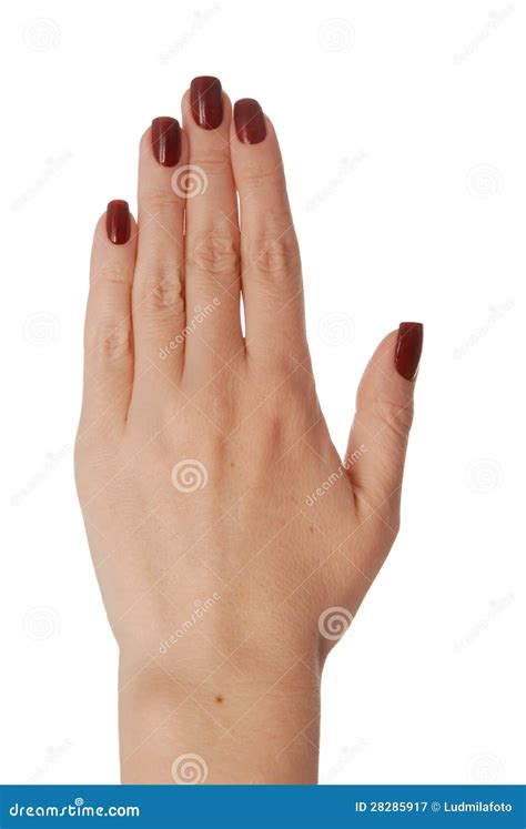 Back Hand Showing The Five Fingers Isolated On A White Royalty Free