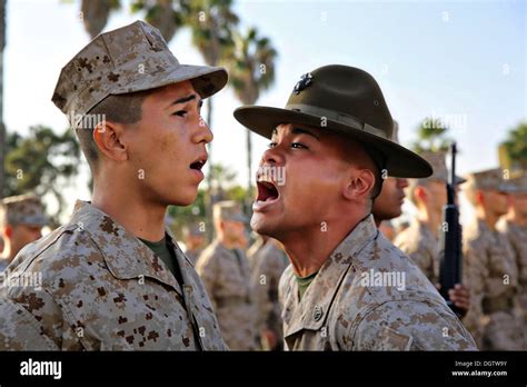 A Us Marine Corps Drill Instructor Screams At A Recruit During Stock