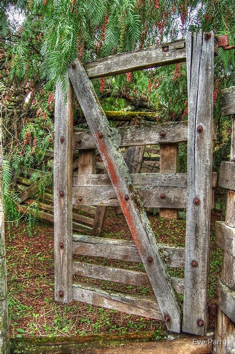 Old Rustic Farm Gates