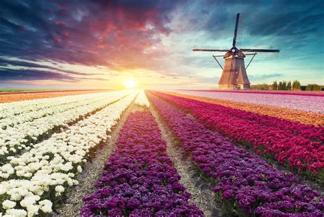 20 Beautiful Places To Visit In The Netherlands Boutique Travel Blog
