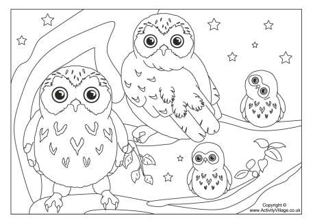 The realistic owl pictures to color will help. Printable Bird Colouring Pages for Kids - Clip Art Library