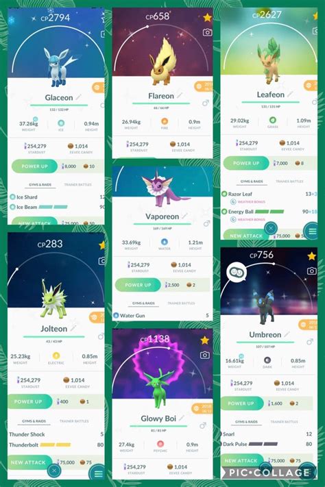 The eevee evolution works like this: Finally completed all my shiny Eevee Evolutions ...