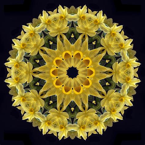 Brief And Entries Kaleidoscope Effect In Colour Abstract Photo