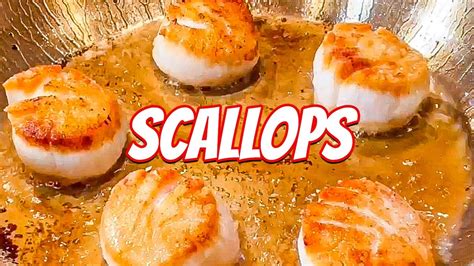 Watch This If You Struggle With Scallops Youtube