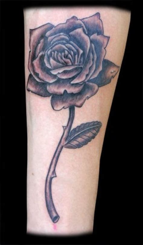 26 Best Gothic Black Rose Tattoo Images On Pinterest Black Rose