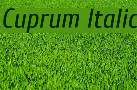 Add in the stylesheet file Cuprum Italic Font - FFonts.net