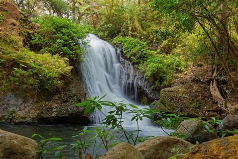 Waterfall Costa Rica Water Rainforest Tropical Jungle Wilderness