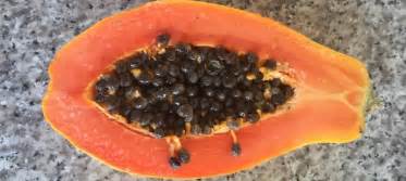 What Does Papaya Taste Like A Guide To Enjoying This Exotic Fruit
