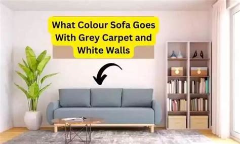 What Colour Sofa Goes With Grey Carpet And White Walls