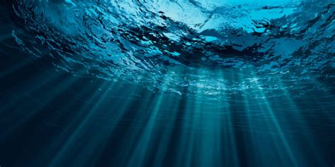 A dicey venture through the deep web. How Much Of The Earth Is Ocean Water - The Earth Images ...