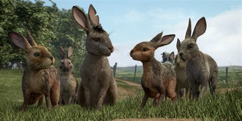 Netflixs Watership Down Is A Harrowing Tale Of Perseverance