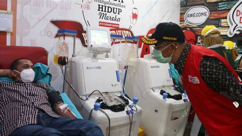 Prosedur And Syarat Donor Darah Pmi Kota Surakarta