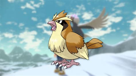 The Best Bird Pokémon Pocket Tactics