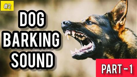 Dog Barking Sound Effect Dog Barking Sound 2 Free Sound Effects