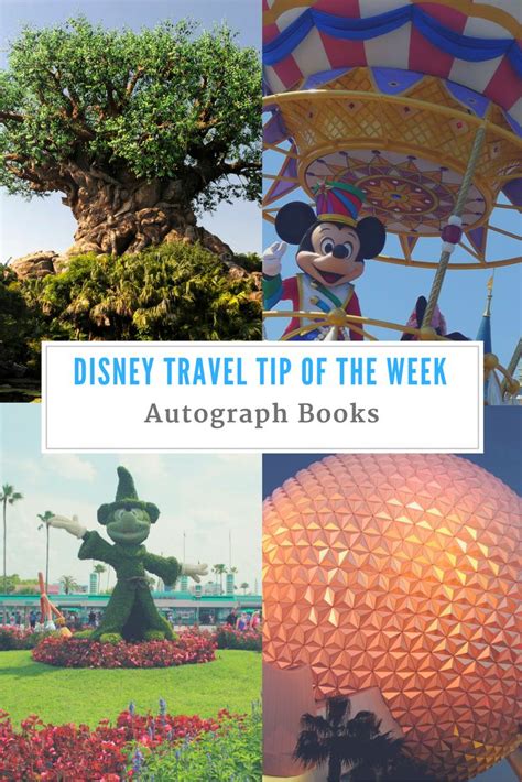 Disney Travel Tip Of The Week Magical Distractions Disney Trips