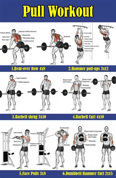 Some Pull Workouts Gym Workout Guide Workout Program Gym Gym Workout