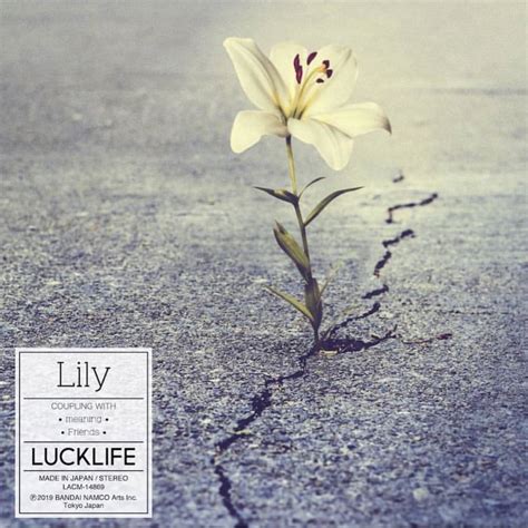 lily luck life lyrics