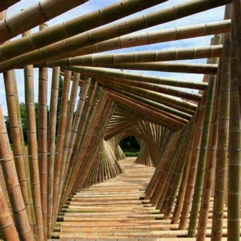 Bamboo Tunnel Bridge Japankonichiwa Pinterest