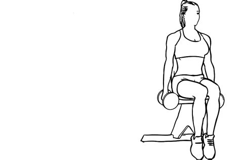 Seated Dumbbell Bicep Curls Workoutlabs Exercise Guide