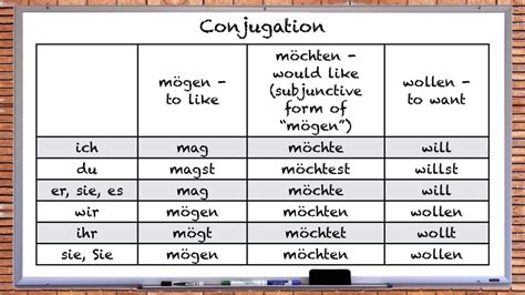 The Differences Between Mögen Möchten Wollen Conjugation Meaning