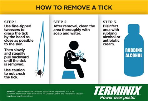 Tick Bite Prevention Week Lets Prevent Yourself From Tick Bite