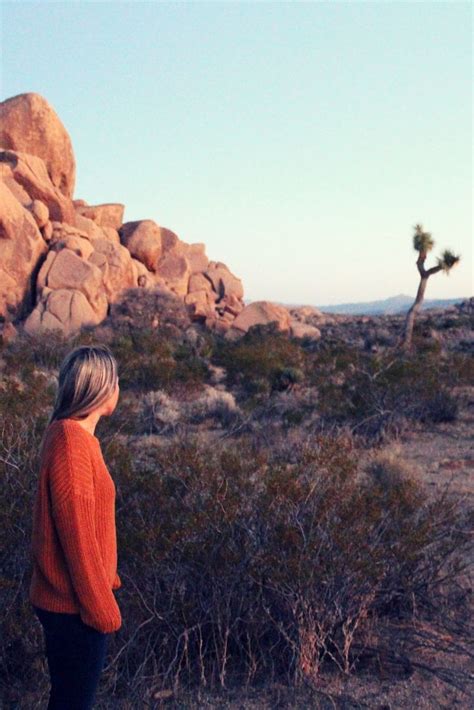 One Day Road Trip In Joshua Tree Driving Tour Of The Parks Highlight