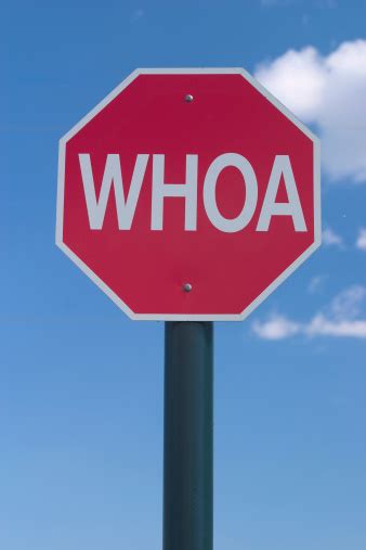 Stop Sign Whoa Stock Photo Download Image Now Humor Stop Sign