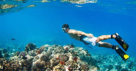 Best Snorkeling Beaches In Oahu Snorkels And Fins