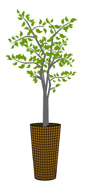 Indoor Plant Clipart Clip Art Library