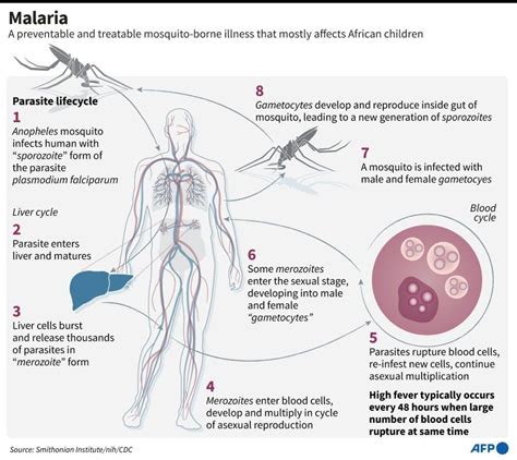 Africa Pins Hopes On Breakthrough Malaria Vaccine