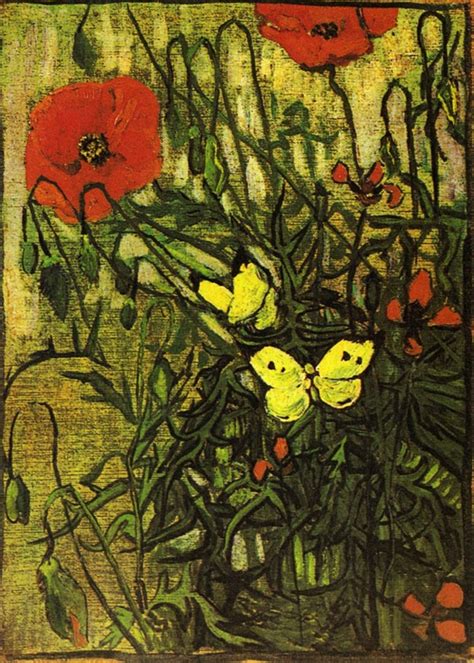 Poppies And Butterflies 1890 Vincent Van Gogh