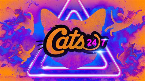 Just open the app, drop in, and watch for free. Cats 24/7 2 Videos | Channel Lineup | Pluto TV