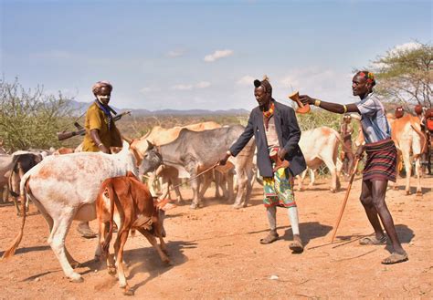 Undps New Weather App Helps Somali Pastoralists Borgen
