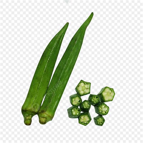 Cut Outs Clipart Transparent Background Fresh Okra Cut Out Vegetable