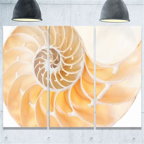 Shop Light Brown Nautilus Shell Abstract Art Glossy Metal Wall Art