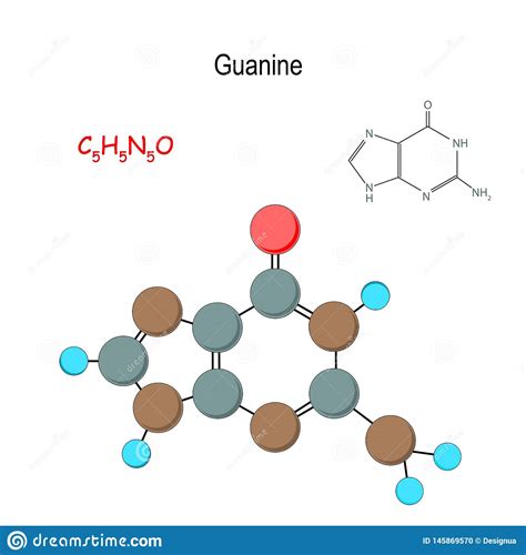 Guanine Chemical Structural Formula And Model Of Molecule Stock Vector Illustration Of