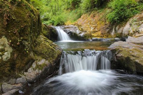 Sweet Creek Hike Hiking In Portland Oregon And Washington Oregon