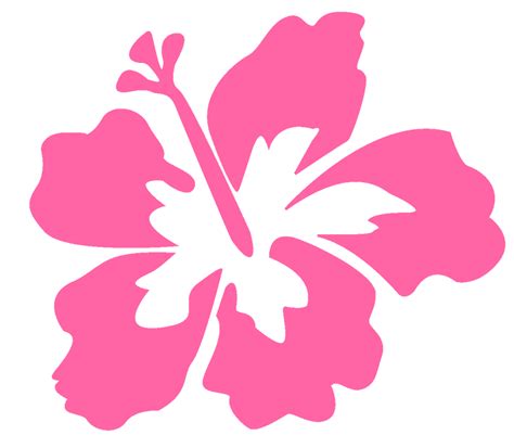 Hola Me Puden Ayudar Flores Hawaianas Fiesta De Cumpleaños Moana