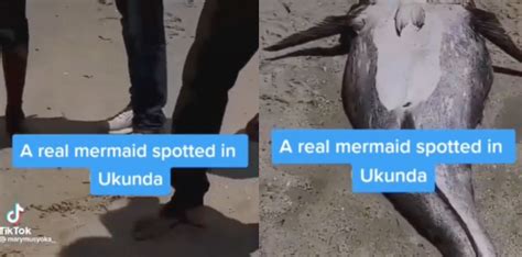 A Viral Tiktok Is Claiming That A Mermaid Washed Up On The Coast Of Kenya