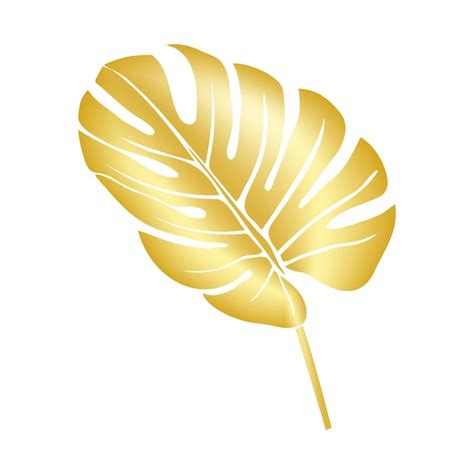 Premium Vector Palm Leaf Or Gold Monstera Decorative Tropical Leaf