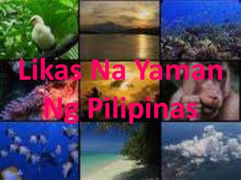 Likas Na Yaman Ng Pilipinas 481
