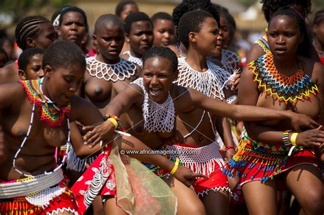 photos and pictures of zulu reed dance at enyokeni palace nongoma south africa the africa