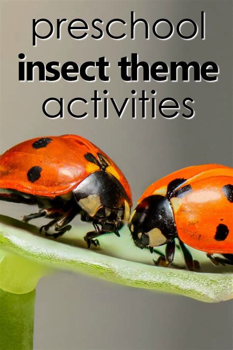 Insect Theme Preschool Activities - Fantastic Fun & Learning | Insects