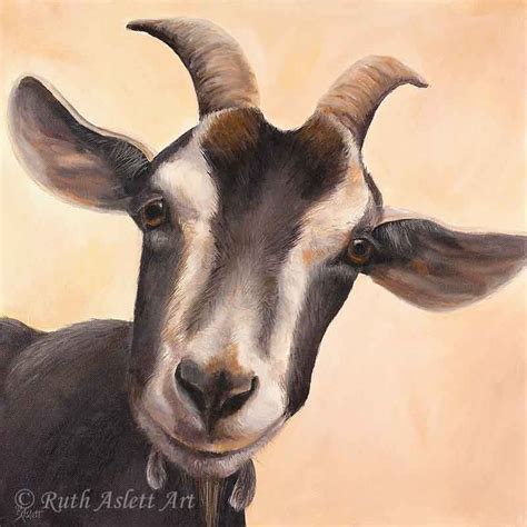 Gallery Goat Art Goat Paintings Farm Animal Paintings