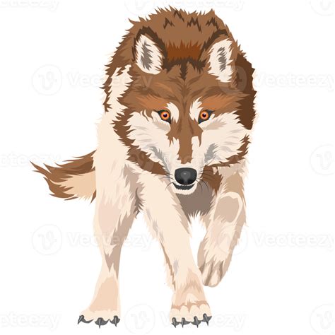 Wolf Wild Dog Png 23850946 Png