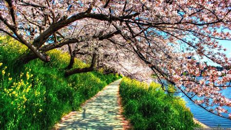 Spring Nature Hd Wallpapers Wallpaper Cave