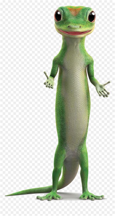 The latest geico gecko commercial. Clip Art Geico Gecko Png - Geico Gecko Png, Transparent ...