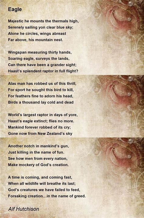 Eagle Poem By Alf Hutchison Poem Hunter