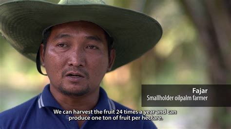 Making The Grade Challenges And Prospects For Sustainable Smallholder