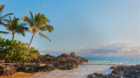 Maui Beach Wallpaper